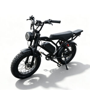 750W Dual-Suspension Fat-Tire Off-Road Model