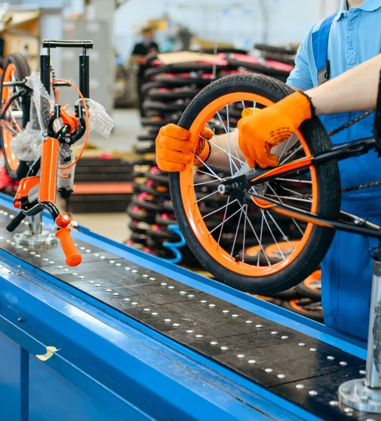 Torque Sensor E-Bike